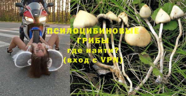 ГАЛЛЮЦИНОГЕННЫЕ ГРИБЫ Алексеевка