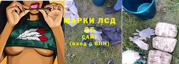 ГАЛЛЮЦИНОГЕННЫЕ ГРИБЫ Алексеевка
