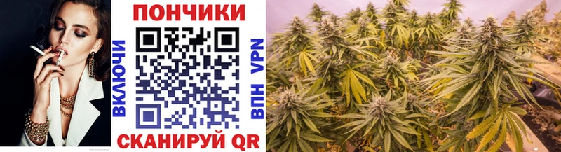 Бошки Шишки Amnesia купить наркотик shop как зайти Берёзовский